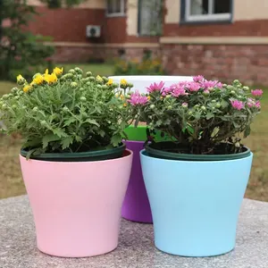 Factory Various Sizes Plastic pots for Indoor and outdoor made of Plastic good quality many colors various colors