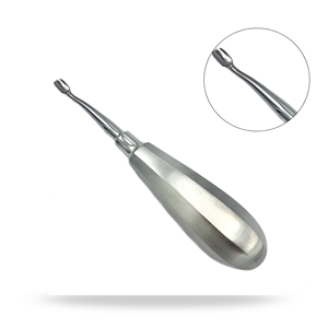 Élévateur dentaire chirurgical à pointe d'aile de 6 mm, courbé à l'intérieur, pour l'extraction dentaire et l'élévation radiculaire - Product Image 1