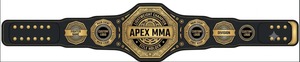 Apex MMA World Martial Art Belt Custom Personalized Own Title Heavyweight Championship Belt Adult Size Championship Belt - Product Image 2