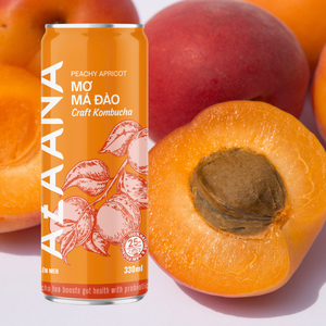 Té de Kombucha para el cuidado de la piel, buen precio, vitamina con sabor a fruta, sin alcohol, listo para beber, hecho en Vietnam, fabricante - Product Image 1