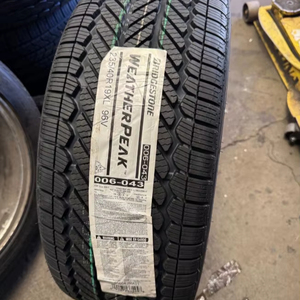 Neumático Usado Bridgestone Weather Control A005 Evo Radial Premium Touring para Todas las Estaciones 225/40ZR18 para Auto y SUV, Agarre en Piso Mojado - Product Image 1