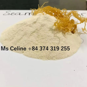 Seamoss en polvo 100% de algas marinas naturales con precio competitivo en calidad superior - Product Image 1