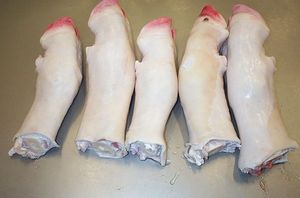 High-quality Frozen Halal <b>Beef</b> Feet & Cow Legs IQF Processed Vacuum Pack - Product Image 6