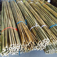 Bâtons de bambou vietnamiens en gros à prix avantageux / Fabriqués à 100 % en bambou véritable au Vietnam, bâtons de ski en bambou d'Eco2go Vietnam