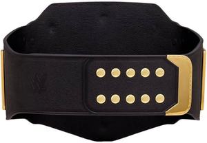 Ceinture de Championnat WWE - Product Image 2