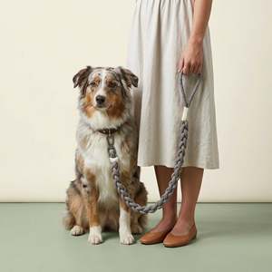 Nouvelle laisse pour chien Rainbow Rover artisanale, style simple et luxueux, en nylon et cuir durables, longueur 5m, pour promener votre chat - Product Image 4