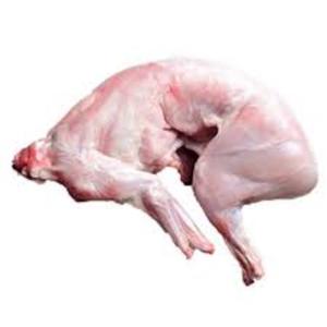 Obral daging bebek beku/segar kualitas tinggi