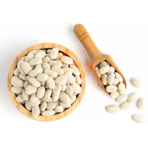 Quality Grade White Kidney Bean Extract Powder - 10000 iu Private Label White Kidney Bean With Herbal Extract Made in India