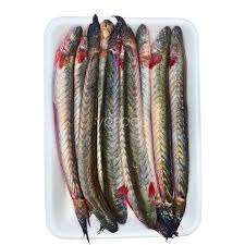 PESCADO GOBY CONGELADO DEL PROVEEDOR LÍDER DE VIETNAM PROPORCIONA UNA EXCELENTE NUTRICIÓN Y PROMUEVE UN ESTILO DE VIDA SALUDABLE - Product Image 5