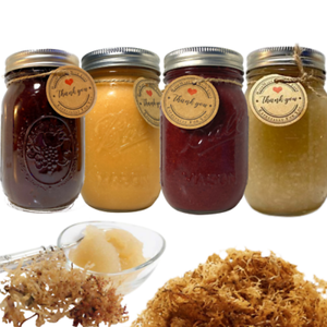 Gel de Musgo Marino Orgánico de Primera Calidad, Marca Privada, Musgo Marino Seco, Rico en Minerales, Servicio de Entrega Rápida - Product Image 4