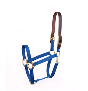 Economy Safety Halter Horse Halter with Name <b>Plate</b> <b>Weight</b> Reduction - Product Image 1