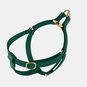 Arnés de Cuero Impermeable de Alta Calidad para Perros, Arnés de Entrenamiento Simple, Ajustable y Portátil, Más Vendido 2026 - Product Image 6