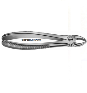 Fórceps de Extracción Dental de Acero Inoxidable de Alta Calidad Fig. Fabricante y Exportador de 158 Instrumentos Dentales - Product Image 6