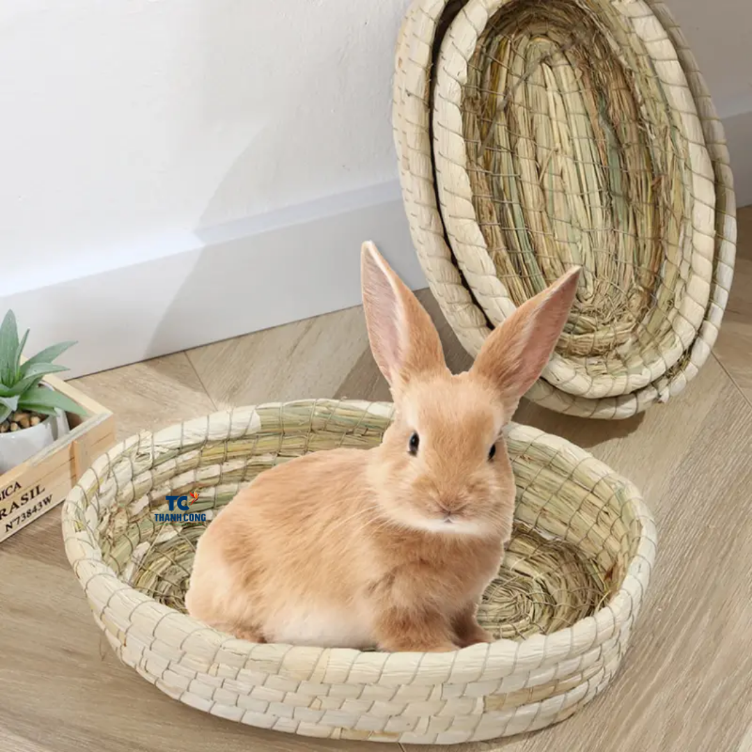 ธรรมชาติ