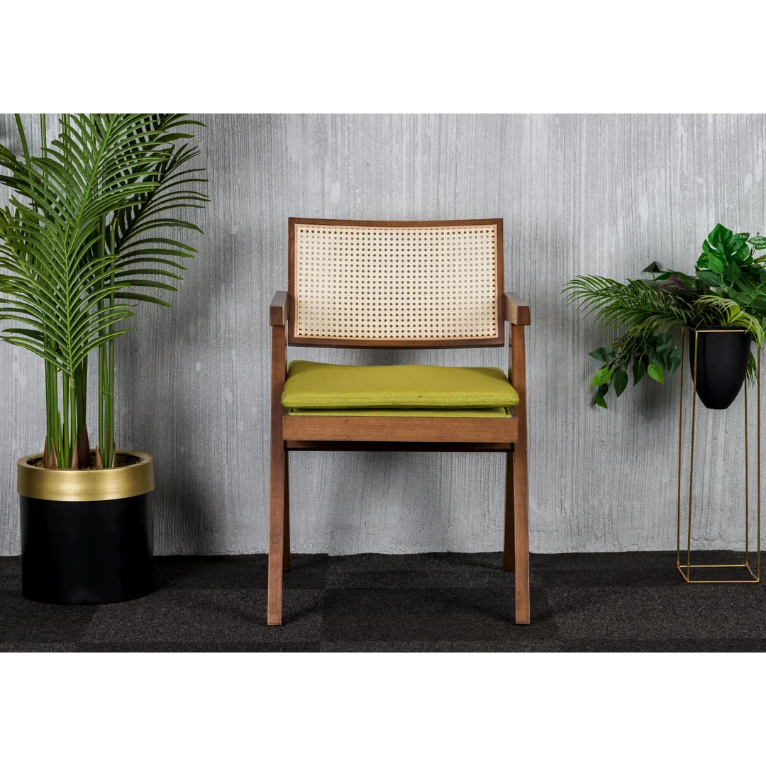 สีน้ำตาล