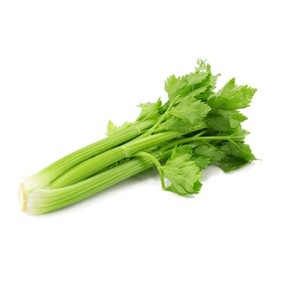Poudre d'extrait de céleri Ingrédient naturel de céleri pour les aliments fonctionnels et les compléments alimentaires Fournisseur en gros OEM - Product Image 3