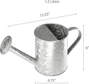 Regadera elegante de acero inoxidable de metal rústico con herramienta de jardín para el hogar galvanizada con pulgar - Product Image 2