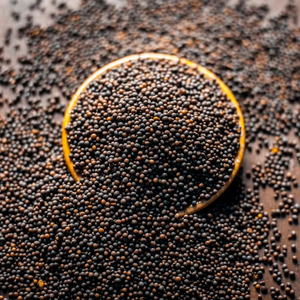 Graines de moutarde brunes naturelles pures, épice entière fraîche pour la fabrication d'huile, la cuisine culinaire, l'assaisonnement, la saveur, l'arôme, cuisine saine - Product Image 1