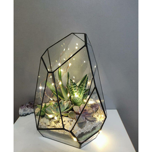 Modern <b>Clear</b> <b>Glass</b> <b>Vase</b> Terrarium for Home & Wedding Decor High Quality Air Plant Flower Terrarium at Best Prices - Product Image 2