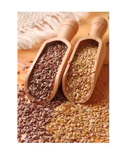 Suministro de semillas naturales enteras nuevas cosechadas Semillas de lino al por mayor Semillas de lino disponibles en las mejores tarifas