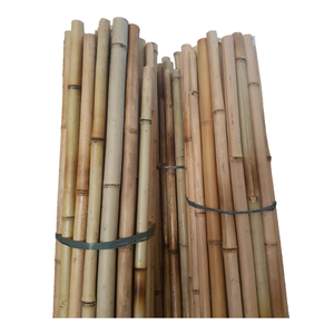 Tubes en bambou fabriqués au Vietnam à partir de 99D, adaptés à une utilisation intérieure et extérieure, avec une surface lisse et une structure naturelle solide. - Product Image 1