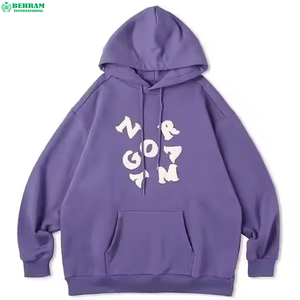 Nouveau design de sweat à capuche à manches régulières, 350 GSM, en molleton français épais, broderie unie 3D, 100% coton, écologique - Product Image 4