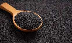 Sésamo negro natural sortex Producto agrícola Premium Sésamo de Gujarat Tezz o Sésamo negro personalizado - Product Image 3