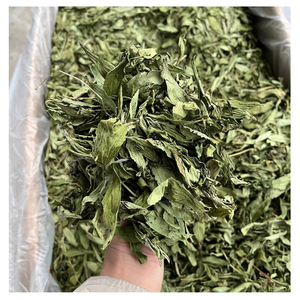 Hoja de Stevia Seca Premium de Alta Calidad, Edulcorante Natural de Vietnam, Suministro a Granel de Hoja de Stevia Seca para Té y Repostería - Product Image 5