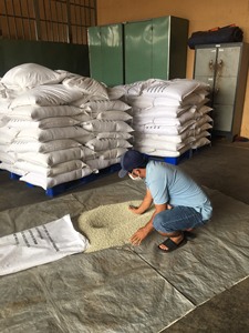 พริกไทยขาวเวียดนามขายส่งสำหรับส่งออก คุณภาพดี ราคาดีที่สุด - Product Image 6
