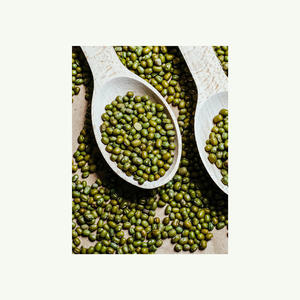 Prix d'usine Haricots mungo verts de qualité supérieure Haricots verts Gram Vigna Haricots verts - Product Image 6
