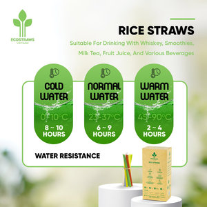 หลอดดูดสำหรับทำจากฟางข้าวสาลีย่อยสลายได้เป็นมิตรต่อสิ่งแวดล้อมโรงงานในเวียดนาม - Product Image 4