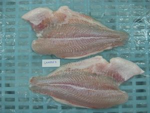 Bổ Dưỡng Đông Lạnh Cá Tra <span class=keywords><strong>Fillet</strong></span> / <span class=keywords><strong>Basa</strong></span> Cá <span class=keywords><strong>Fillet</strong></span> Cao Cấp Cũng Cắt Giá Tốt - Product Image 2