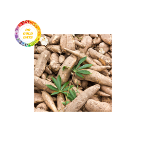 Racine pelée de manioc congelée de l'usine du Vietnam Fourniture directe de tapioca de qualité supérieure pour le commerce alimentaire - Product Image 3