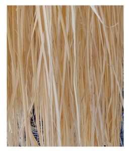 Nouveau design populaire modèle de sangle de canne en rotin peler le noyau de rotin en rotin à tricoter carré de haute qualité du Viet Nam pour l'exportation - Product Image 4