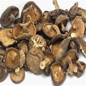 100% Champignon frais surgelé naturel à vendre à des prix modérés - Product Image 6