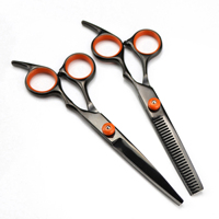 Beaux nouveaux modèles types de couleurs Kit de ciseaux de coiffeur professionnel pour la coupe de cheveux