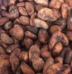 สัมผัสรสชาติอันหรูหราและกลมกล่อมจากเมล็ดโกโก้คั่วคุณภาพพรีเมียม เกรดดีที่สุดจากฟาร์มคัดสรรพิเศษ พันธุ์ฟอรัสเตรโอ น้ำหนัก 25 กก. - Product Image 2
