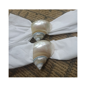 Vietnam Turbo Shell Anneau de serviette, coquillage naturel poli sur noyau en laiton, accessoire de table, Premium Haute qualité Meilleur prix - Product Image 4