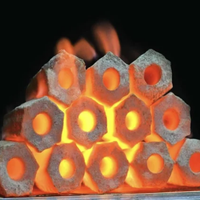 Briquettes de charbon de noix de coco pour barbecue de haute qualité de Thaïlande en gros 100% charbon de noix de coco naturel
