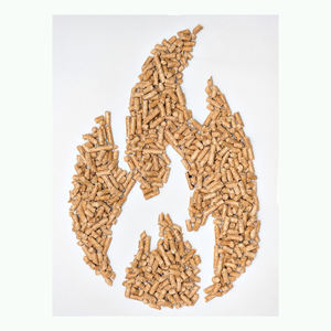 Proveedor a granel de pellets de madera de biomasa renovable natural para uso residencial, comercial e industrial - Product Image 6