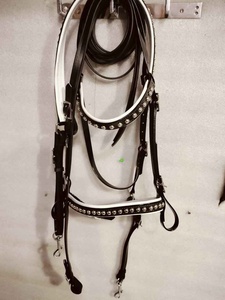 Bride Indorace en cuir durable avec ajustement réglable et équipement équestre d'entraînement et d'équitation confortable pour chevaux - Product Image 6