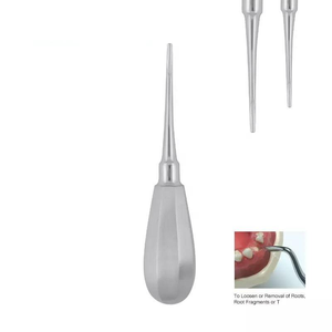 Dogmatic International Élévateurs dentaires manuels réutilisables en acier inoxydable pour extraction, Classe I DM1505 Bein Droit Rond 4.0mm - Product Image 3