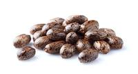 Achetez des graines de ricin en ligne en vrac, germination rapide, 100% naturelles, graines de ricin pures avec une durée de conservation de 2 ans pour la cuisson