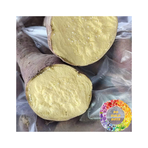 Exportación de batata congelada de alta calidad a granel, venta al por mayor, productos superventas para clientes y compradores internacionales - Product Image 5