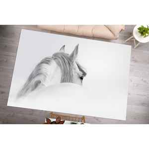 Alfombras Blancas para Caballos, Alfombra de Regalo para Amantes de los Caballos, Alfombras Blancas, Alfombras de Animales, Alfombra Personalizada, Alfombra de Terciopelo - Product Image 1