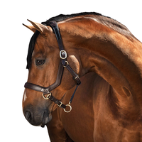 Harnais classique en cuir anglais pour cheval |   Accessoires en laiton massif, taille réglable, confortables, pour l'équitation, l'entraînement en écurie