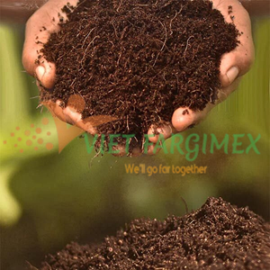 Viet FARGIMEX Tourbe de noix de coco écologique-Enrichisseur de sol organique pour un développement végétal robuste - Product Image 5