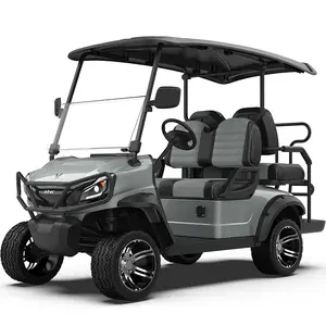 Produk baru 2 4 6 tempat duduk mobil Golf elektrik kereta Golf ban maks 5kw Motor Lithium baterai sesuai warna Cina asal Golf elektrik