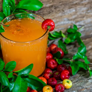 Jus d'acérola pur pour l'industrie des boissons - Product Image 3