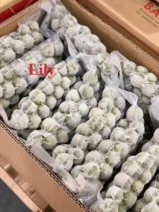 Dracontomelón (Fruta de Cocodrilo) Congelado a Granel, Orgánico, de Alta Calidad, IQF, de Vietnam - Product Image 2